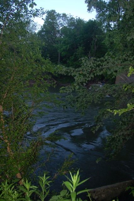 DSC_0112 IowaCityPark}ClacialStream&amp;SteepCliff's0Rot.jpg