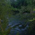 DSC_0112 IowaCityPark}ClacialStream&amp;SteepCliff's0Rot.jpg