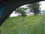 110-1092_IMG.JPG