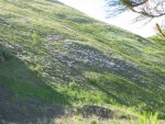111-1128_IMG.JPG