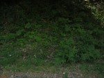 115-1527_IMG.JPG