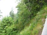 115-1581_IMG.JPG
