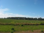 116-1631 IMG