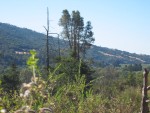 117-1772_IMG.JPG