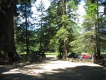 It Is a Short Walk From the "Drive-Through Giant Redwood Tree" (Left) to "Narrator's "Duck Pond (Center).  Note people left admiring their car going through the tree. Red tail-light in the dark of the tunnel shows the presence of the car.   Narrator's "Duck Pond Park", Leggett, CA.  (Photo = 116-1669) 
