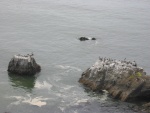 These Offshore Rocks Provide a Great Place for the Shore Birds to Rest After a Big Meal.    1.5 mi North of Rockport, CA.  (Photo = 116-1685.JPG )