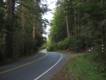 As All These Huge Overhanging Pine Trees Indicate, We Are Now Well Inland and Well Up Into the Coastal Mountains. Although the Pavement Is Smooth and To Fun Drive, Lower Standards of Construction Have Resulted In Sixty Miles of Narrow Very "Curvaceous" Road.  This Road does not have any Route Number and thus is a "Secondary Road". I found this out the hard way. Since I was a ZMM Pilgrim, I was droving more slowly. And soon on this stretch of road, a California Speed Demons held heavy on my rear bumper and was honking for me to get out of his way. I spotted what I thought was a good wide place at the berm to pull of the highway. I failed to notice that pavement had a huge drop-off, that exceeded by far, the ground clearance under my car. I came abruptly to a terrible grinding crunching halt! I was stuck!! Three quarters of my car was still on the highway in a dangerous curved place with limited visibility. The wheels spun, the tires smoked, but I could not move!! Many high speed cars were coming at me, but refused to respond to my hand-waves for help. Finally several local drivers came by, were much more courteous, and offered help. While some spontaneously warned on-coming traffic, others helped me jack up the car, but with no success. Fortunately a tow truck happened by, and helped me onto the pavement. What a relief!!! Fortunately nothing seemed to be damaged on my car. What a relief, as my ZMM Research continued!!!  On Comptche-Ukiah Road, three mi East of Mendocino, CA.  (Photo = 117-1716.JPG )