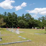 DSC_0417.JPG