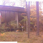 This composite photo of the front of our Solar Home, and the next two photos,  are "A Celebration Of Fall Color & Fall Leaves"!! As you can see this picture showing max fall color, was taken September 9th of last year. 

NOTE: The roof line has an un-natural bend at the "stitch line", b/c I did not know what focal length in mm to type into the PhotoStitch Software. Contrast this, with the next photo,  where half the focal length was typed in. 


Photo_110911_004-005 f-85mmEquiv}UnnatBend NoCrop.jpg