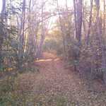 This photo, and the next nine photos,  are "A Celebration Of Fall Color & Fall Leaves"!! 

The last of these, shows photos of our Solar Home. 


Photo_111111_013.jpg