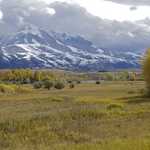 Paradise001-ipad Resize1500x1000 ~300KB