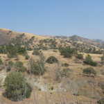 120-2021 IMG