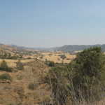 120-2022 IMG