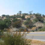 120-2023 IMG