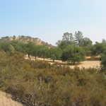 120-2025 IMG