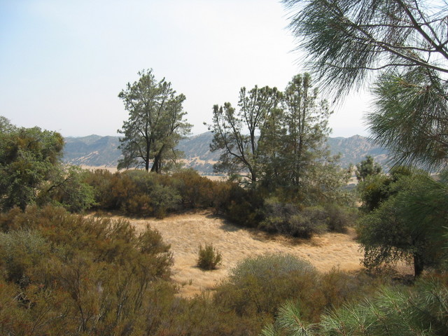 120-2026 IMG