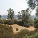 120-2026 IMG