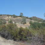 120-2029 IMG