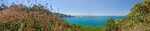 About 100 Feet From The Previous Panorama Photo, We Find More Unusual Flowers, And A Nice View Of A Pacific Ocean Cove. 

File = DSC 0049 PhotoSetOfHenryGurrUploadFeb272025#2 Resize1967x400