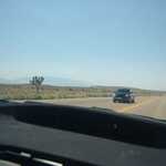 Several Seconds After Previous Photo, We Have Traveled Closer To See This View Of The Largest Of The Joshua Trees.  

File = DSC 0427 Resize602x400