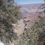 Camera Repositioned So Better To See, At Image Center, Thin Lines Of A Small Part Of Bright Angle Trail.  

File = DSC 0470 RotResize602x400