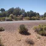 Close To location Of Previous Photo, An Interesting Desert Plant,  Which May One Of The Many Varieties Of Yucca Plant, But Not Yet Started A High Blossom Stalk.  

File = DSC 0532 Resize602x400